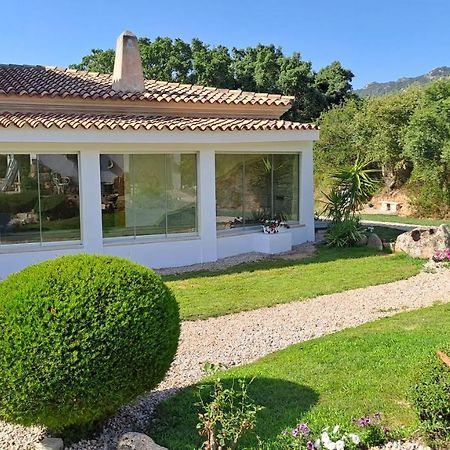 B&B La Chintina Sant'Antonio di Gallura Bagian luar foto