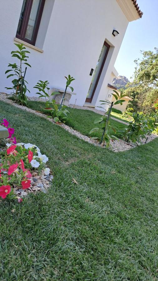 B&B La Chintina Sant'Antonio di Gallura Bagian luar foto