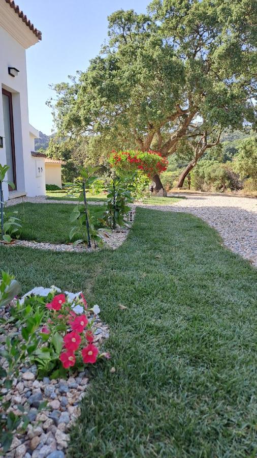 B&B La Chintina Sant'Antonio di Gallura Bagian luar foto