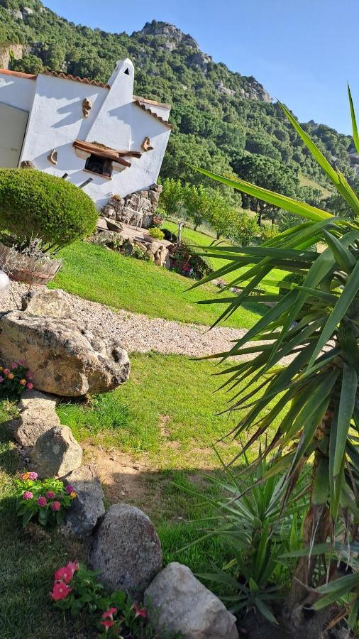 B&B La Chintina Sant'Antonio di Gallura Bagian luar foto