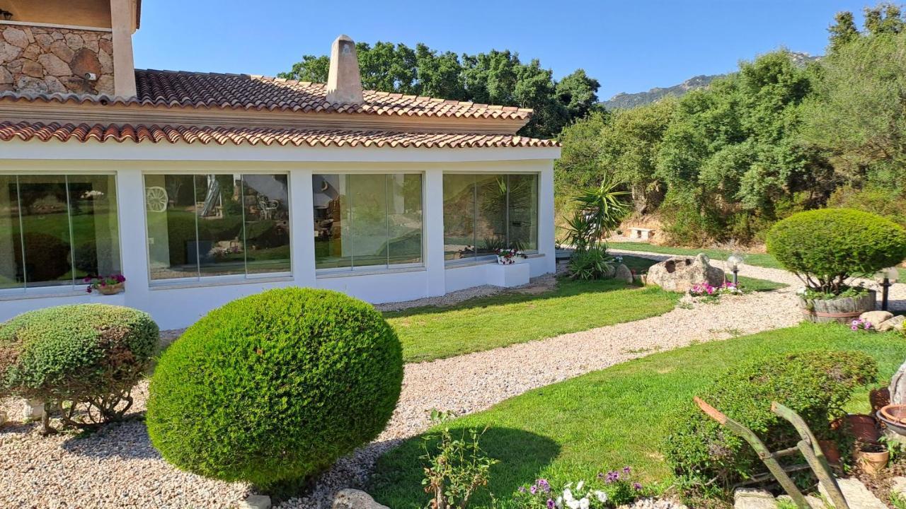 B&B La Chintina Sant'Antonio di Gallura Bagian luar foto